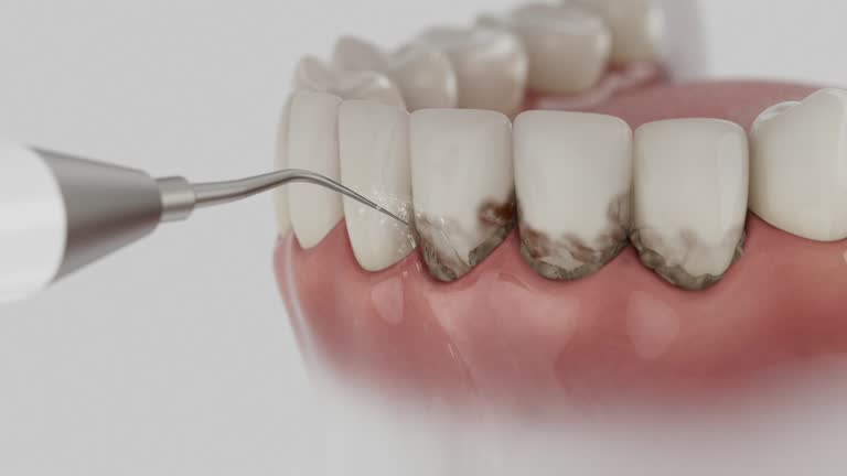 Reliable Dental contractor in Roanoke, IN by Dentist Open Now